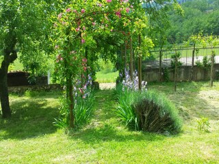 Villa Rignano sull'Arno Buitenaudio-opname 9