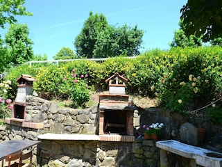 Cottage Massa e Cozzile  25