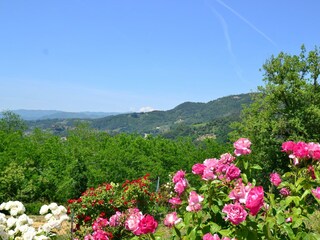 Casa vacanze Massa e Cozzile Ambiente 16