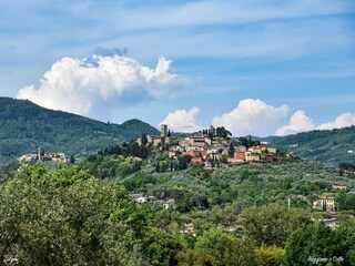 Maison de vacances Massa e Cozzile Environnement 16