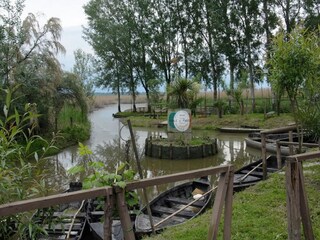 Vakantiehuisje Massa e Cozzile Omgeving 21