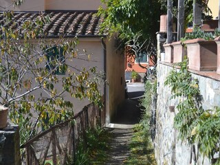 Casa de vacaciones Marliana Entorno 22