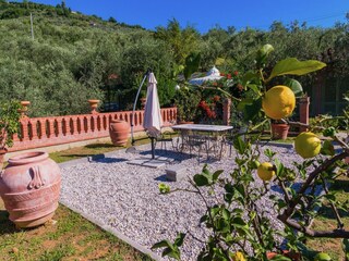 Fattoria Montecatini Terme Registrazione all'aperto 9
