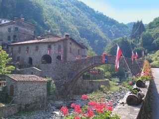 Casa de vacaciones Pescia Entorno 31