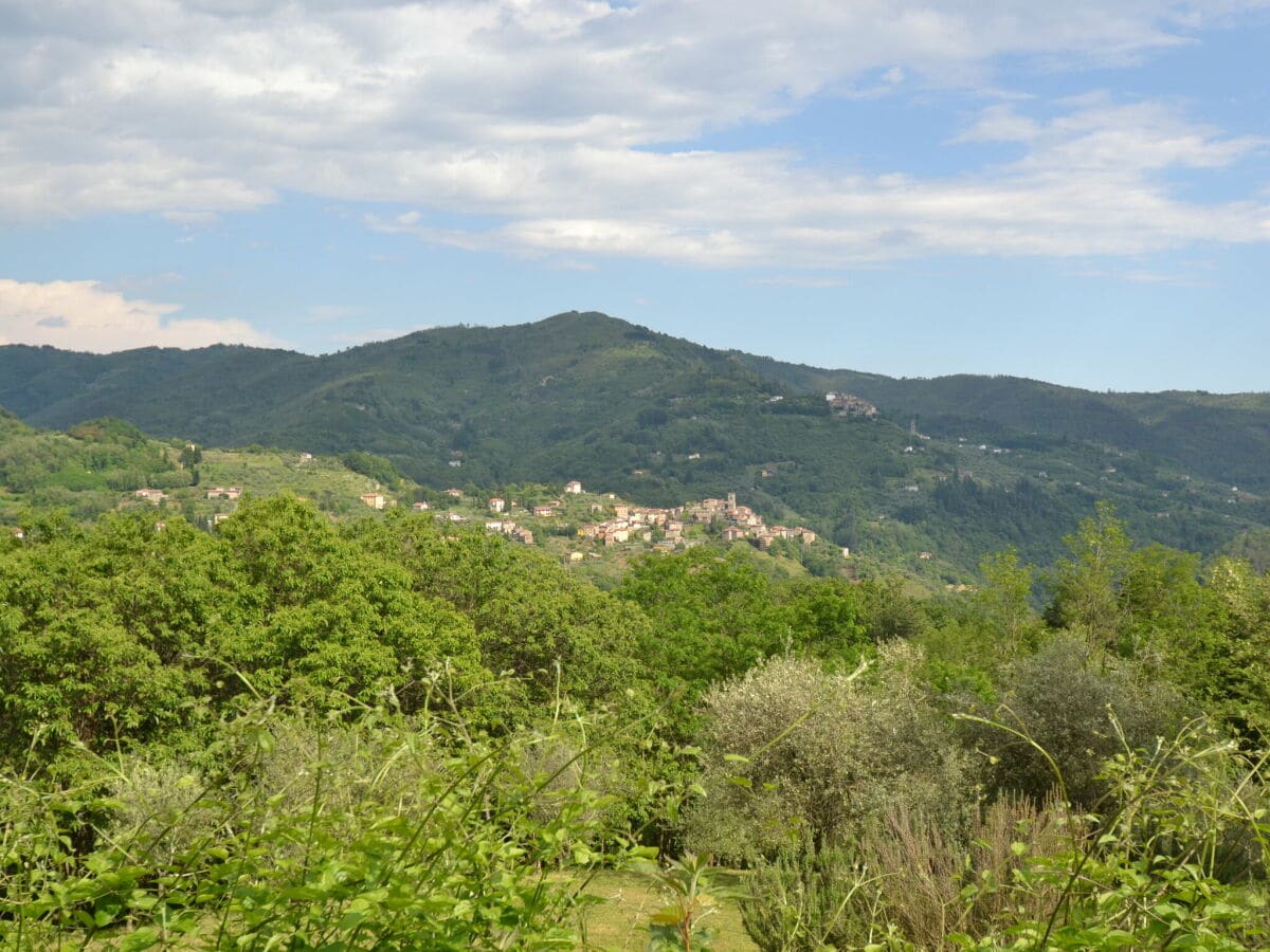 Cottage Pescia Außenaufnahme 8