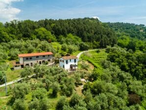 Schönes Ferienhaus mit privatem Pool - Massa e Cozzile - image1