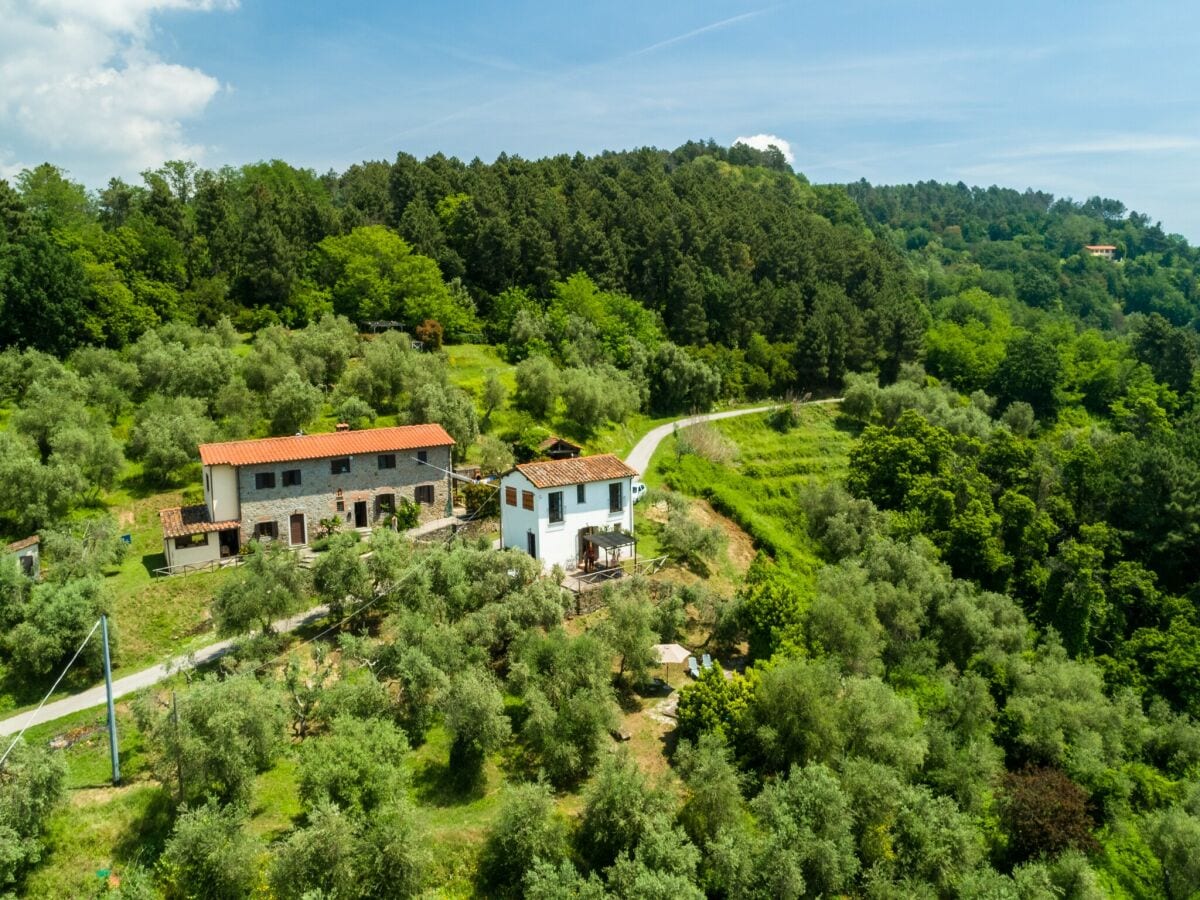 Ferienhaus Massa e Cozzile Außenaufnahme 1