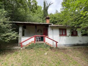 Historisches Ferienhaus mit Gemeinschaftspool - San Marcello Pistoiese - image1