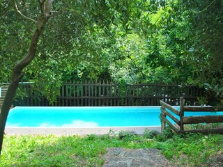 Casa per le vacanze San Marcello Pistoiese Registrazione all'aperto 11