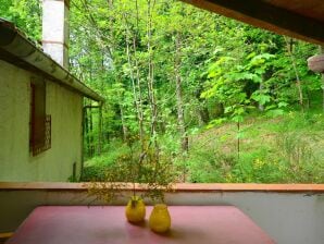 Holiday house Ferienhaus mit Gemeinschaftspool, Terrasse, Kamin - San Marcello Pistoiese - image1