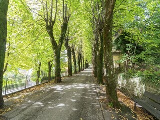 Chalet San Marcello Pistoiese Entorno 33