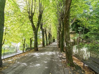 Chalet San Marcello Pistoiese Environnement 35