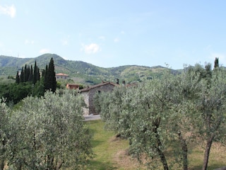 Bauernhof San Baronto Außenaufnahme 6