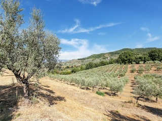 Bauernhof San Baronto Umgebung 35