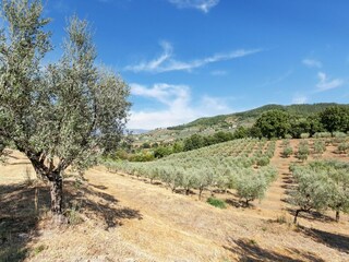 Type de propriété : Ferme San Baronto Environnement 34