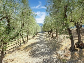 Type de propriété : Ferme San Baronto Environnement 35