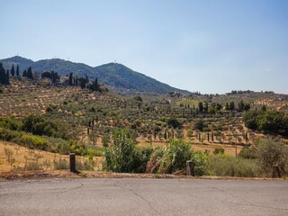 Bauernhof San Baronto Umgebung 30