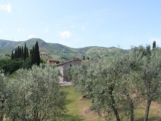 Farmhouse San Baronto Outdoor Recording 11