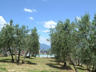 Farmhouse San Baronto Outdoor Recording 18
