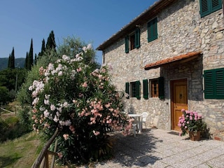 Farmhouse San Baronto Outdoor Recording 7