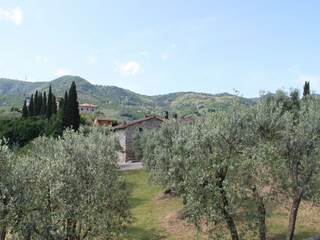 Farmhouse San Baronto Outdoor Recording 14
