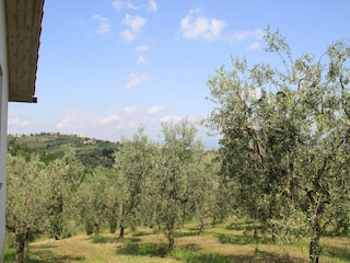 Bauernhof San Baronto Außenaufnahme 14