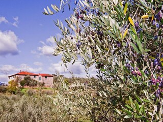 Farmhouse San Baronto  40