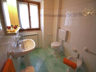 Type de propriété : Ferme Poppi Équipement 16