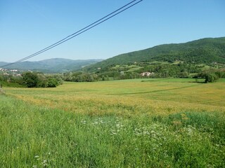 Fattoria Ortignano Raggiolo Registrazione all'aperto 11