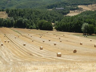 Fattoria Ortignano Raggiolo Registrazione all'aperto 1
