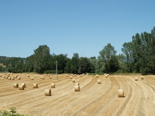 Bauernhof Ortignano Raggiolo Umgebung 35