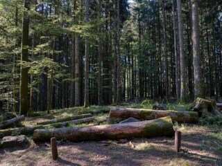 Bauernhof Ortignano Raggiolo Umgebung 33