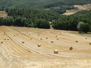 Type de propriété : Ferme Ortignano Raggiolo Enregistrement extérieur 3