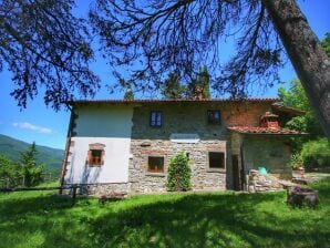 Boerderij in Ortignano met zwembad - Ortignano Raggiolo - image1