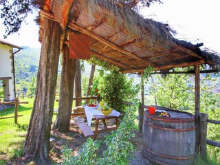 Fattoria Ortignano Raggiolo Registrazione all'aperto 4