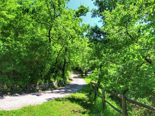Boerderij Ortignano Raggiolo Buitenaudio-opname 12