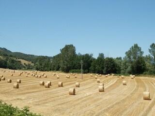 Bauernhof Ortignano Raggiolo Umgebung 35