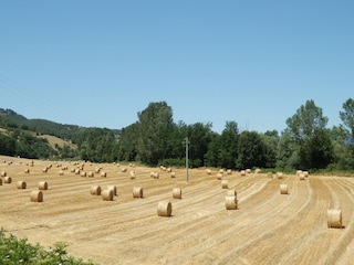 Fattoria Ortignano Raggiolo Ambiente 35