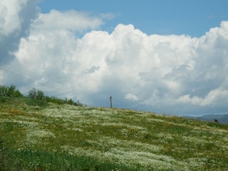 Boerderij Ortignano Raggiolo Omgeving 34
