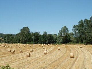 Boerderij Ortignano Raggiolo Omgeving 37