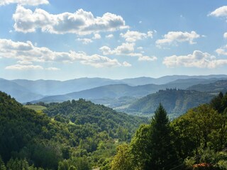 Villa Pratovecchio Environnement 39