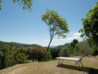 Villa Pratovecchio Außenaufnahme 5
