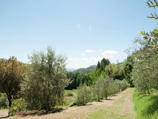 Villa Pratovecchio Außenaufnahme 13