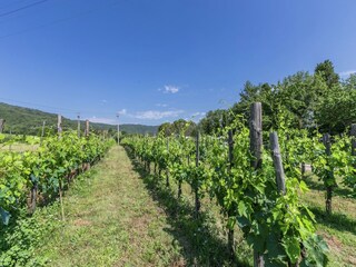 Casa per le vacanze Pietraviva Ambiente 26