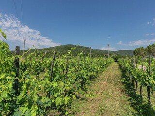 Casa de vacaciones Pietraviva Entorno 27