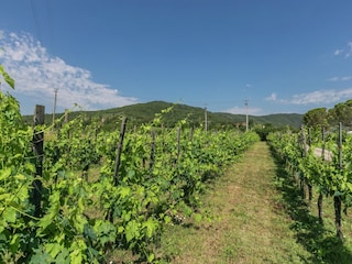 Casa per le vacanze Pietraviva Ambiente 26