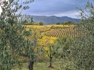 Casa per le vacanze Pietraviva Ambiente 28