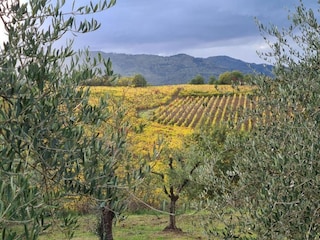 Maison de vacances Pietraviva Environnement 28