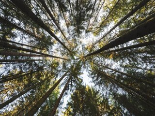 Casa per le vacanze Pietraviva Ambiente 30