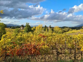 Ferienhaus Pietraviva Umgebung 32